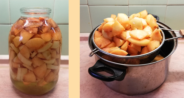 как сделать настойку из яблок на водке